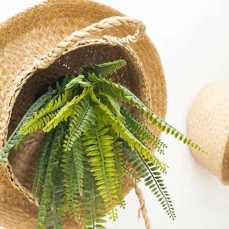 شباب Picnic Dreams Boutique بيت شباب مالقة
